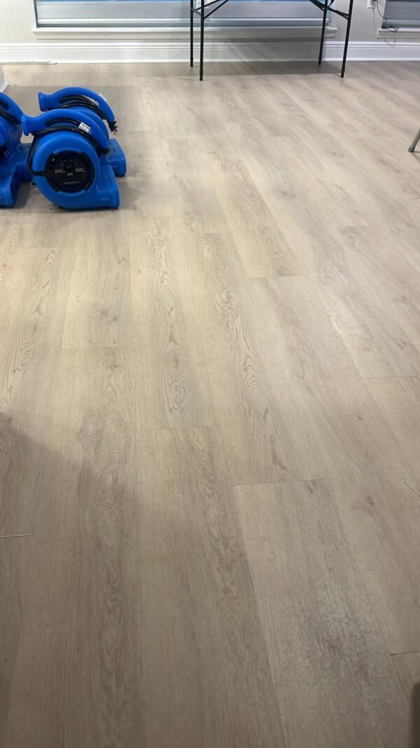 Waterproof Luxury Vinyl Quick48 Common Oak 5.5mm