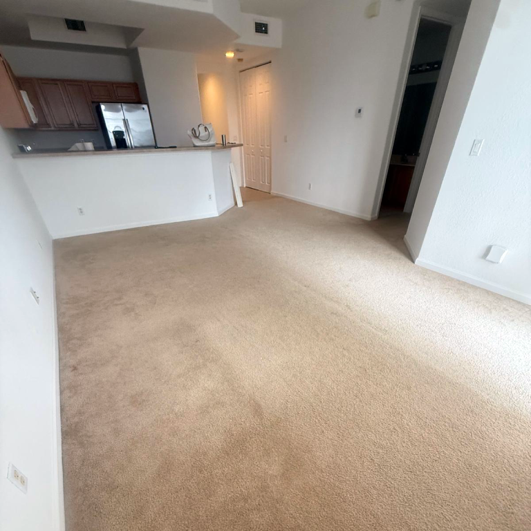 Before: Old Carpet Old beige carpet in apartment living room before renovation.