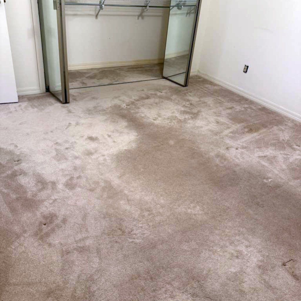 WhatsApp Image 2026-01-16 at 19.59.56 WhatsApp Image 2026-01-16 at 19.59.56