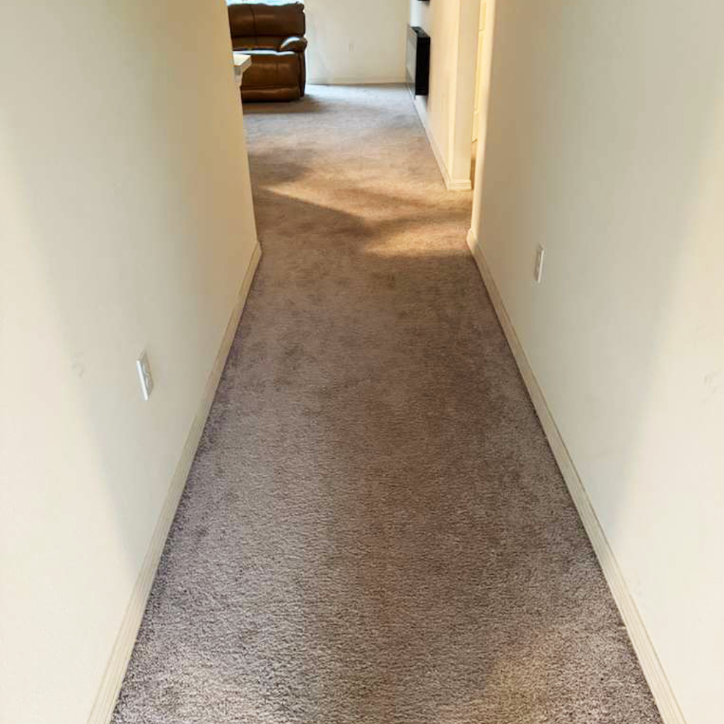 Hallway carpet before vinyl upgrade Long hallway with old grey carpet leading to living area
