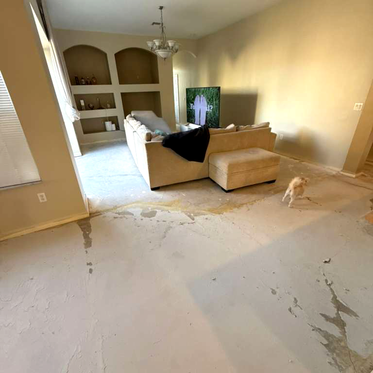 Color Balanced Oak 2 – antes – 2204 Color Balanced Oak 2 - antes - 2204