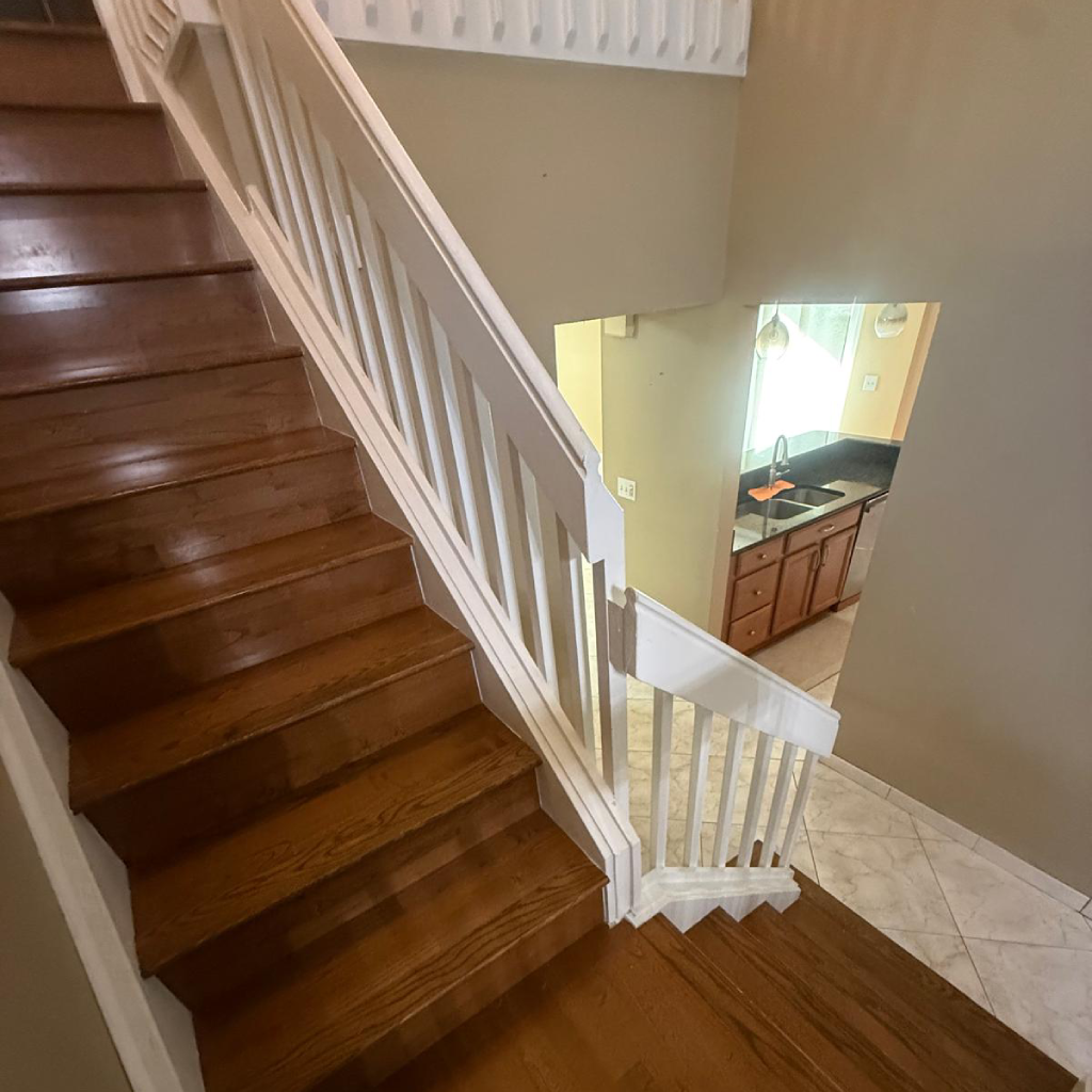 Common Oak 2 – antes Common Oak 2 - antes